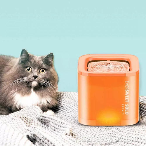 Bols de distributeur d&#39;eau intelligent de Petkit Pet Smart Solo